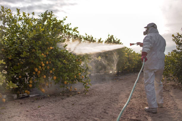 Lake Riverside, CA Pest Control Company